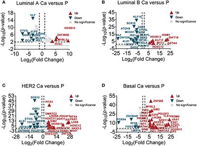 Transcription factor E2F8 is a therapeutic target in the basal-like subtype of breast cancer